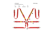 Sabelt Steel Rally 2x2 6-Point Racing Harness – product image 4