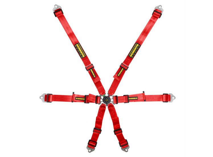 Schroth Flexi 2x2 6-Point Racing Harness – product detail – photo 1